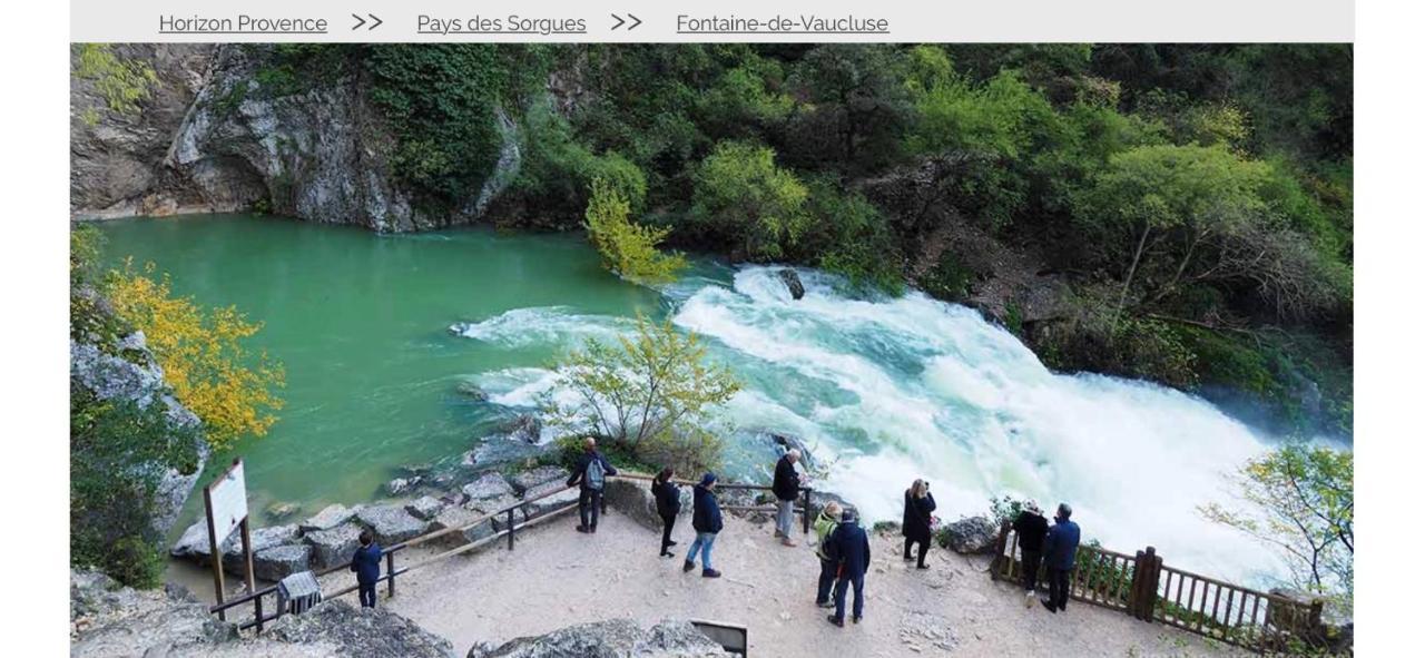 Villa Isle Sur La Sorgue Au Coeur De La Provence LʼIsle-sur-la-Sorgue Esterno foto